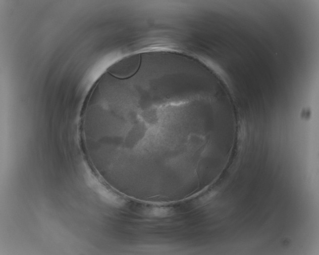 X0000114111423200910051502