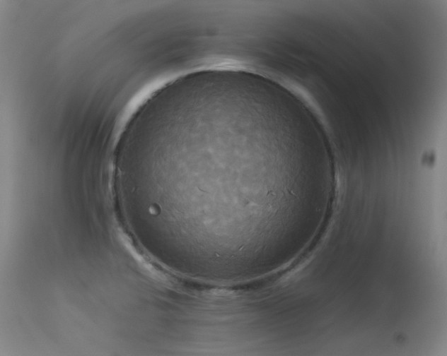 X0000114111424200910051502