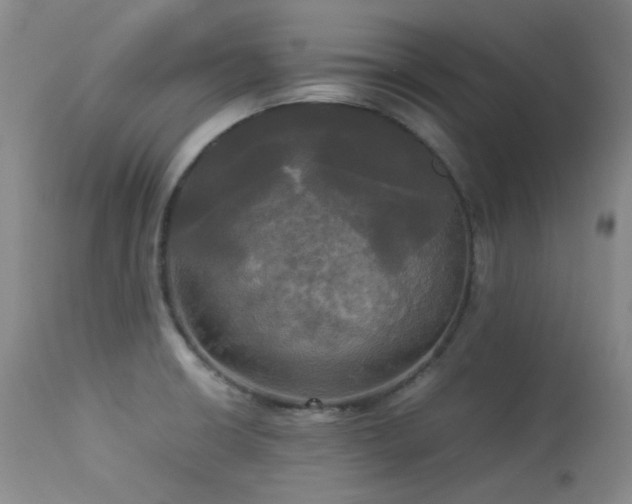 X0000114111426200910051502
