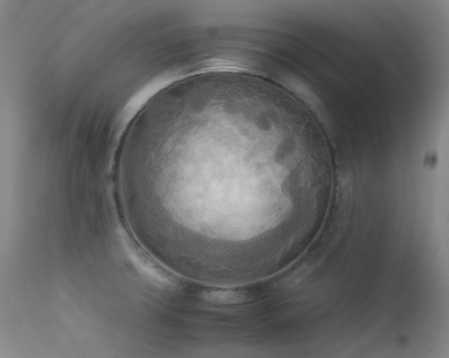 X0000114111427200910051502