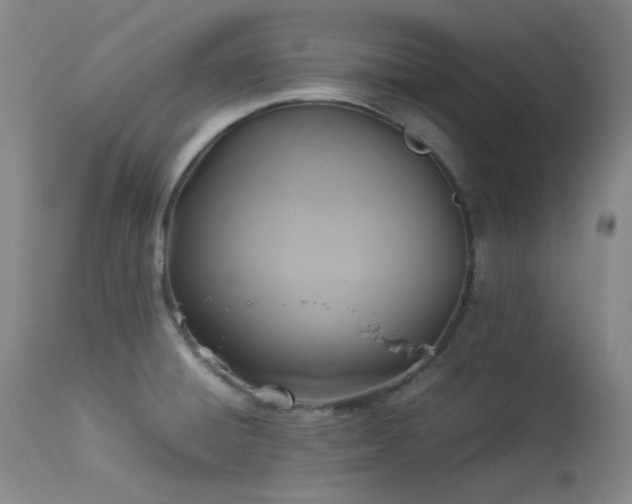 X0000114111428200910051502