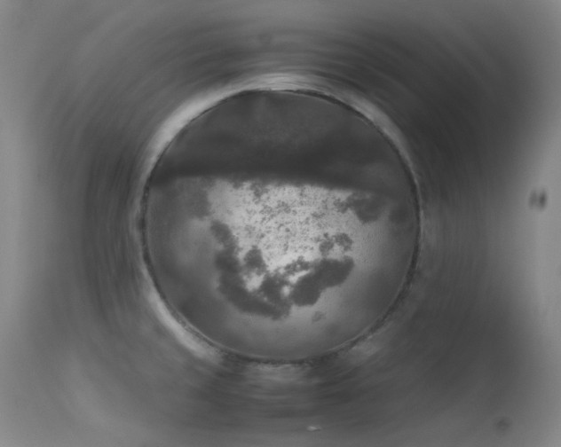 X0000114111429200910051502