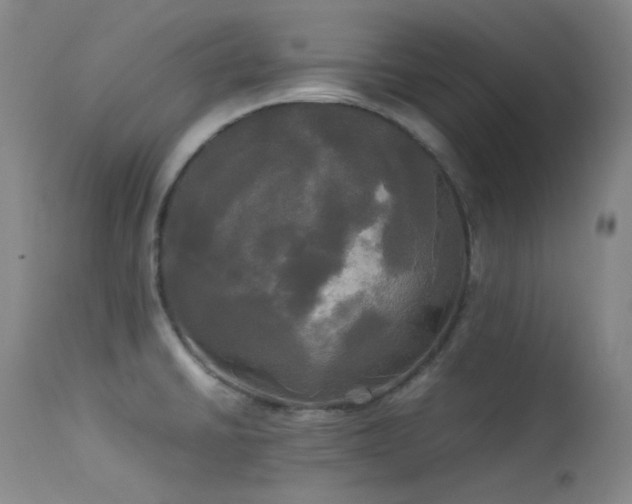 X0000114111430200910051502