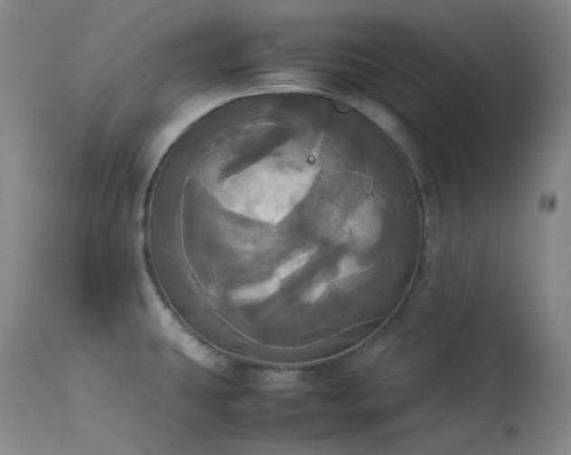 X0000114111431200910051502