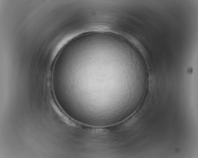 X0000114111432200910051502