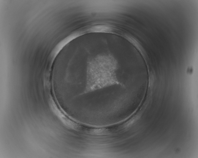 X0000114111434200910051502