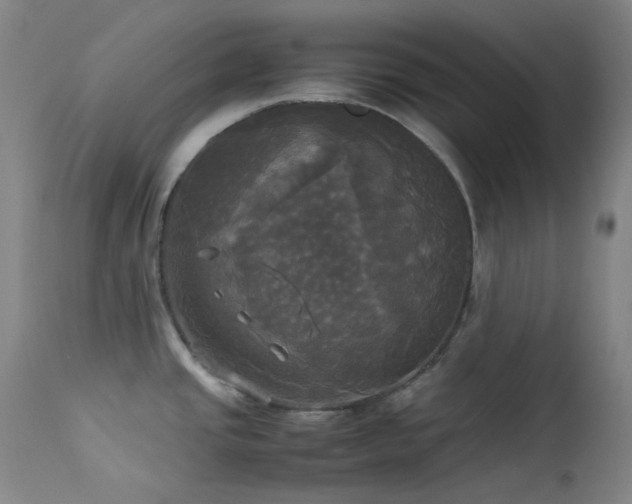X0000114111437200910051502