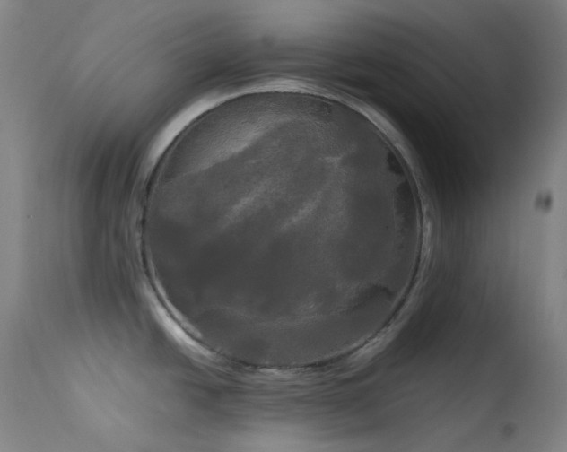 X0000114111438200910051502