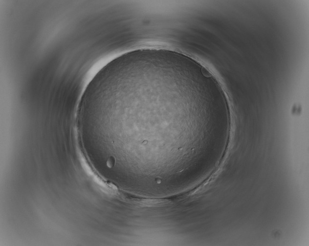 X0000114111440200910051502