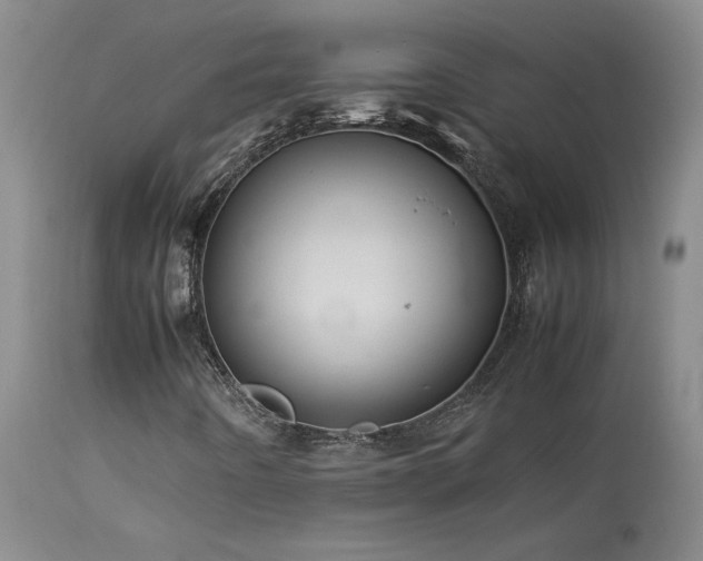 X0000114111442200910051501