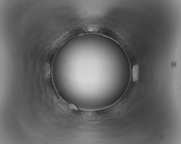 X0000114111443200910051501