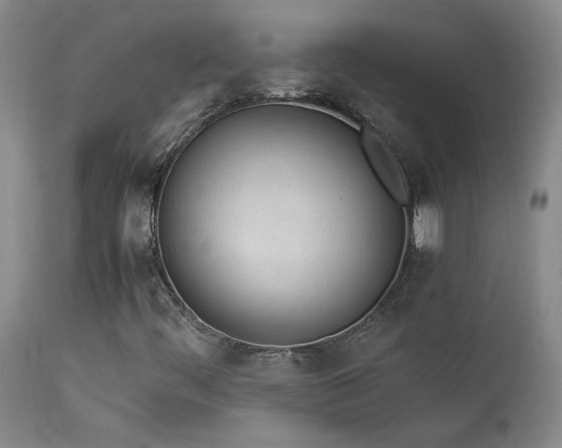 X0000114111444200910051501