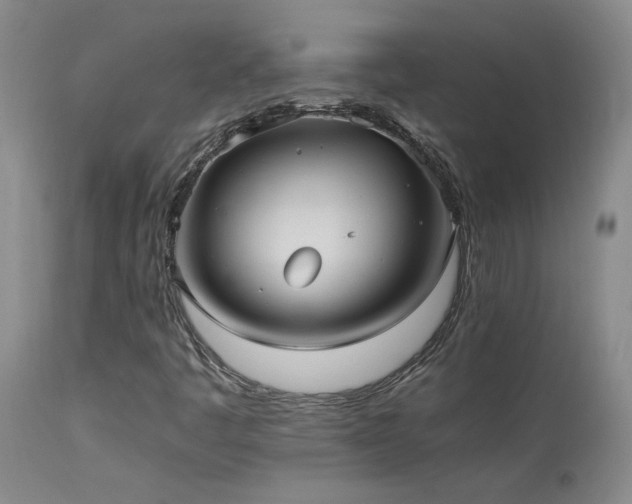X0000114111445200910051501