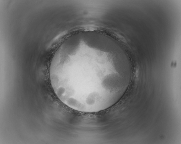 X0000114111446200910051501