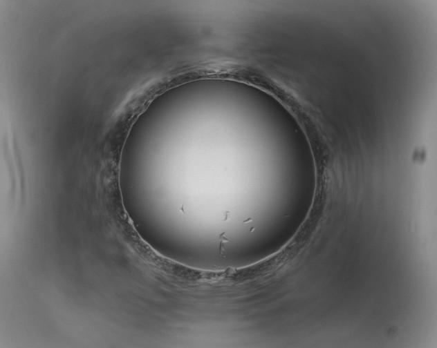 X0000114111447200910051501