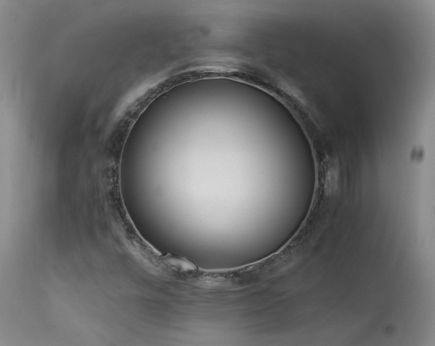 X0000114111448200910051501
