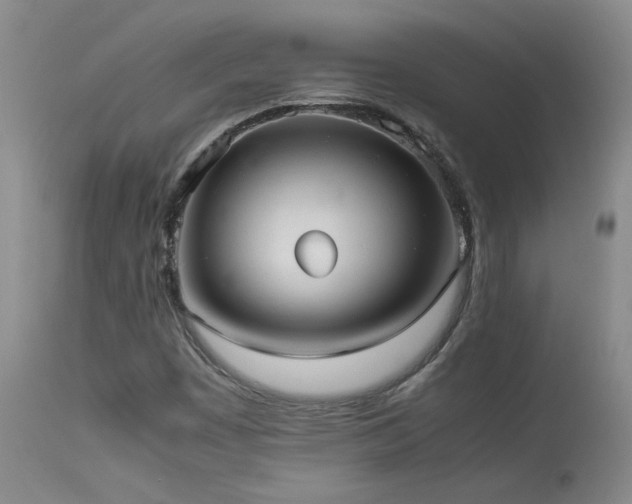 X0000114111449200910051501
