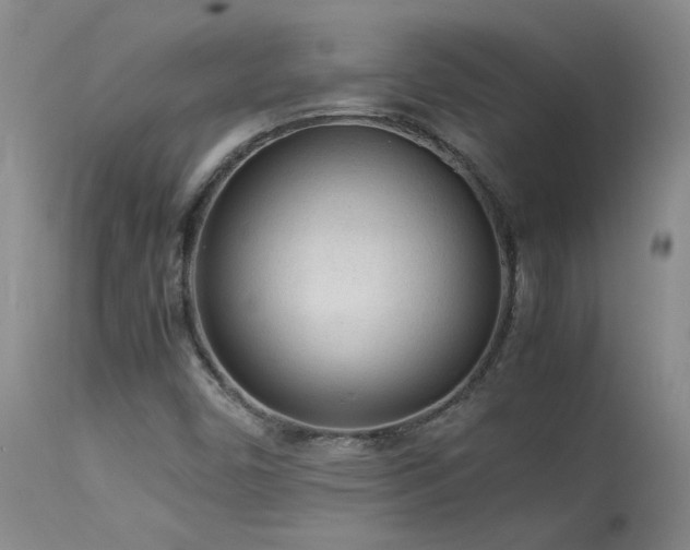 X0000114111450200910051501