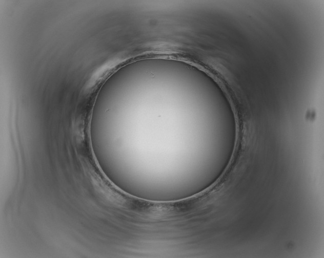 X0000114111451200910051501