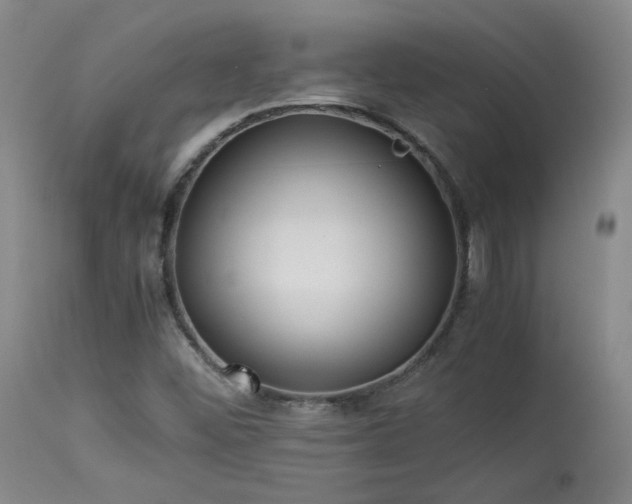 X0000114111452200910051501