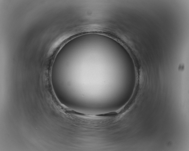 X0000114111453200910051501