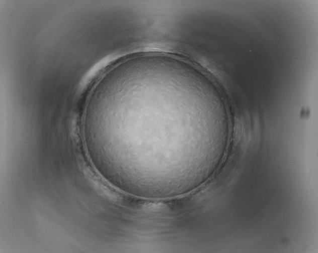 X0000114111454200910051501