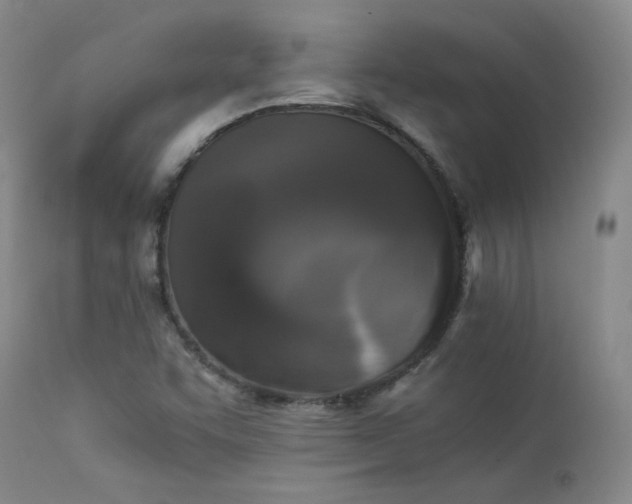 X0000114111455200910051501
