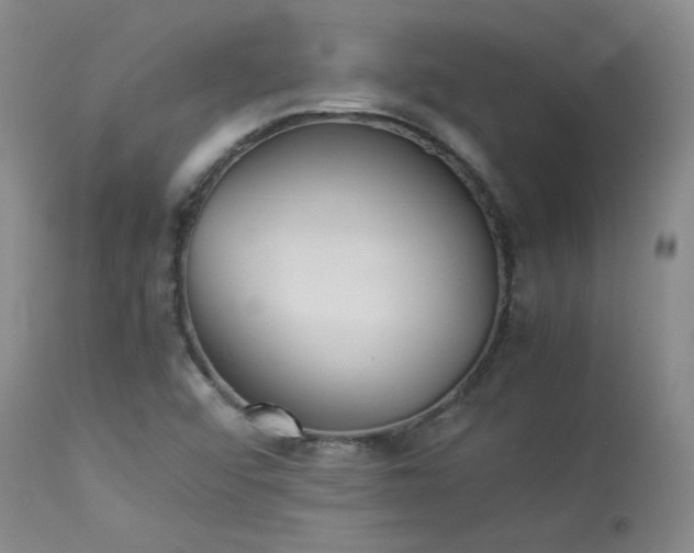 X0000114111456200910051501