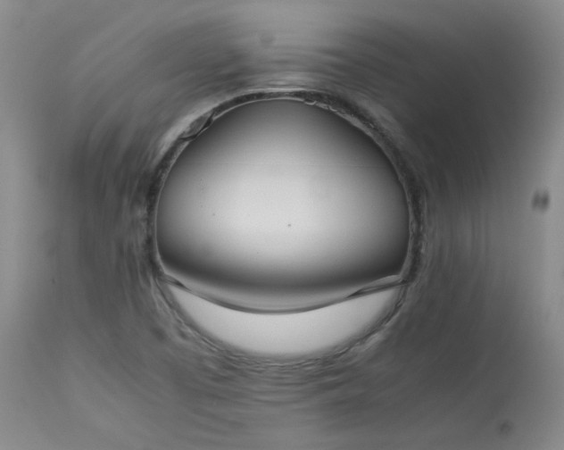 X0000114111457200910051501