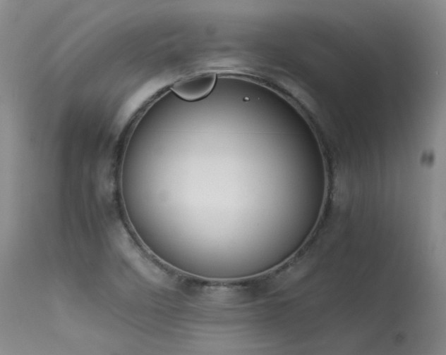 X0000114111458200910051501