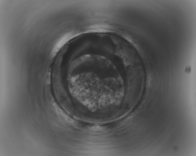 X0000114111459200910051501