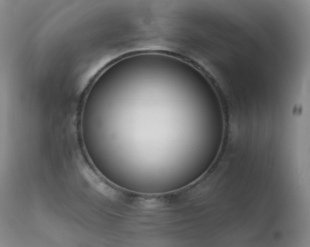 X0000114111460200910051501