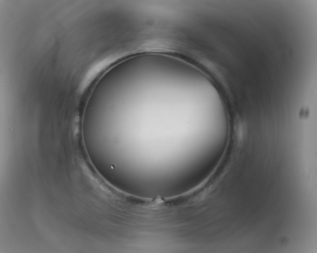 X0000114111461200910051501