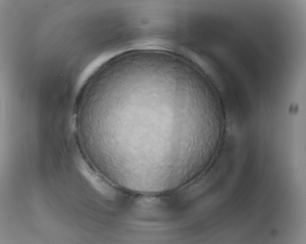 X0000114111462200910051501