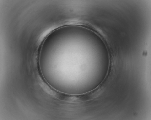 X0000114111463200910051501