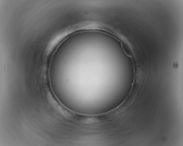 X0000114111464200910051501