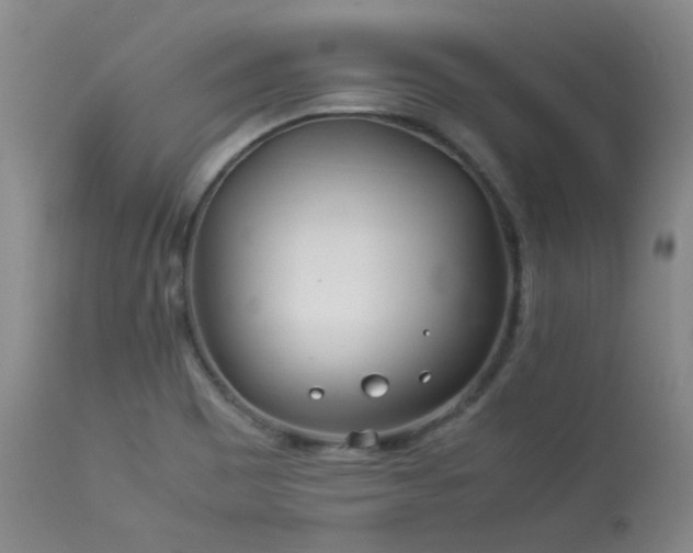 X0000114111465200910051501