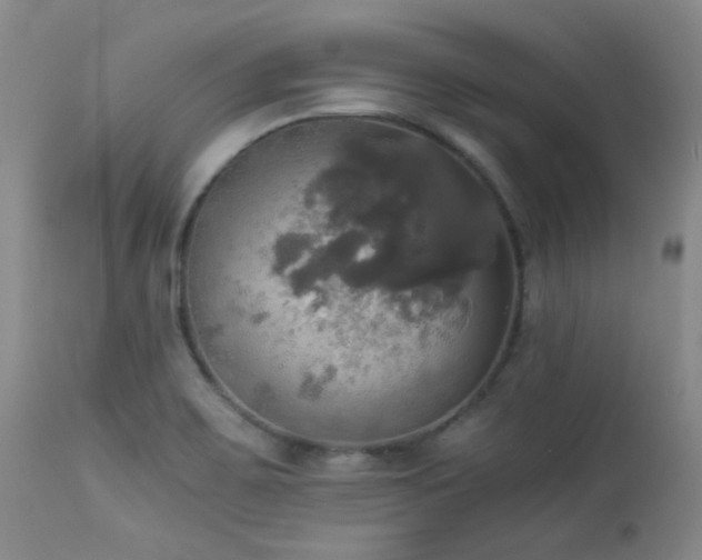 X0000114111467200910051501