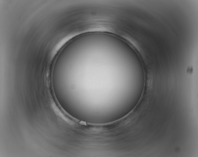 X0000114111468200910051501