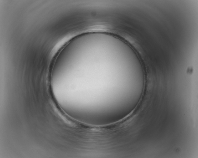 X0000114111469200910051501