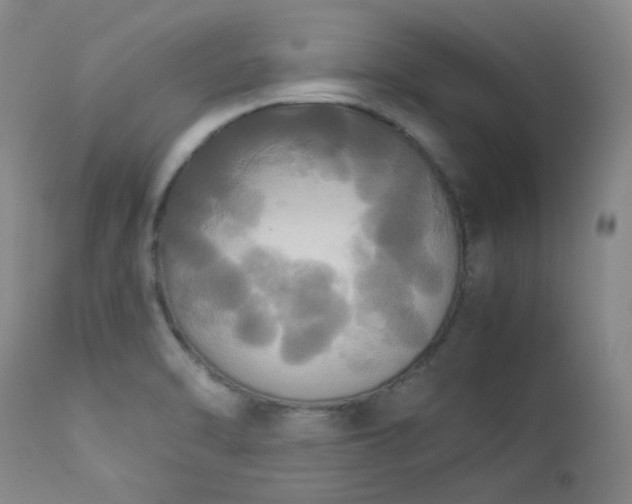 X0000114111470200910051501