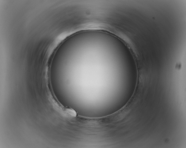 X0000114111472200910051501