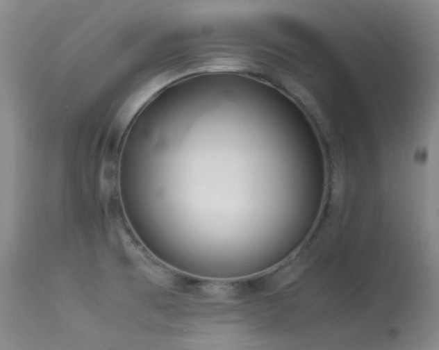 X0000114111473200910051501