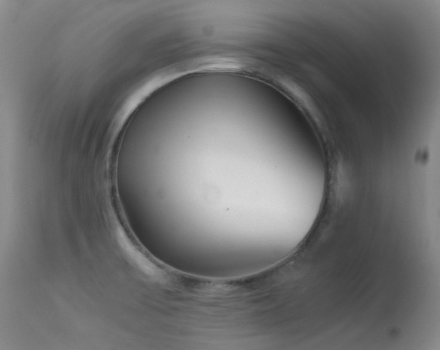 X0000114111475200910051501