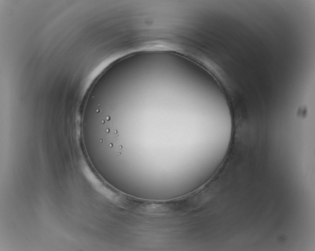X0000114111476200910051501