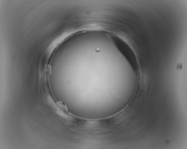 X0000114111477200910051501