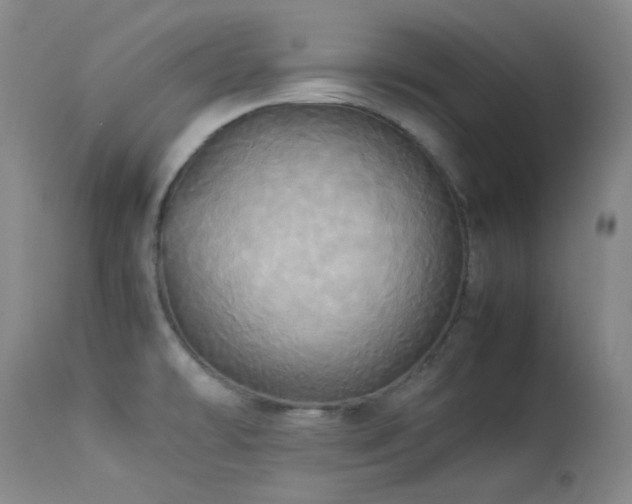 X0000114111478200910051501