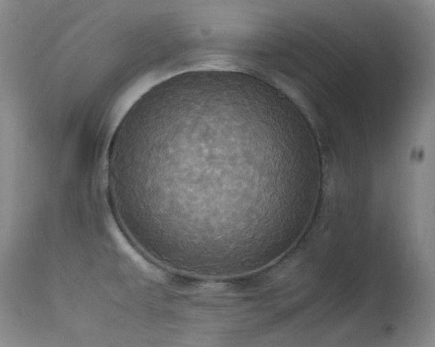 X0000114111479200910051501