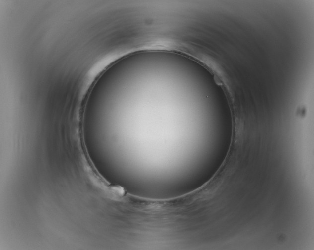 X0000114111480200910051501