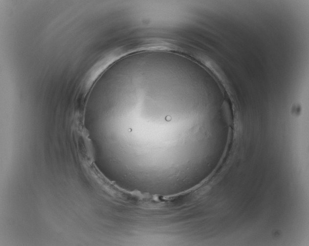 X0000114111481200910051501